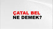 Çatal Bel