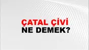 Çatal Çivi