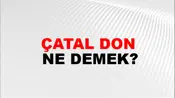 Çatal Don