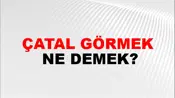 Çatal Görmek