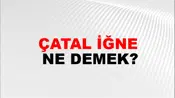 Çatal İğne