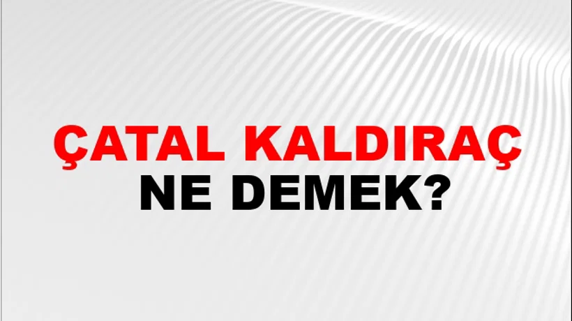 Çatal Kaldıraç Çatal Kaldıraç