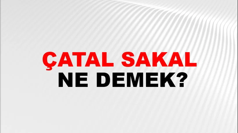 Çatal Sakal Çatal Sakal
