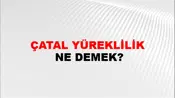 Çatal Yüreklilik