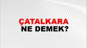 Çatalkara