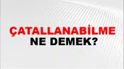 Çatallanabilme