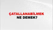 Çatallanabilmek