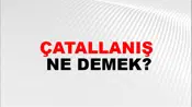 Çatallanış