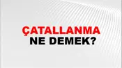 Çatallanma