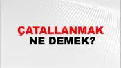 Çatallanmak