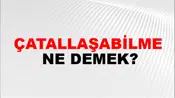Çatallaşabilme