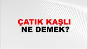 Çatık Kaşlı
