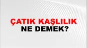 Çatık Kaşlılık