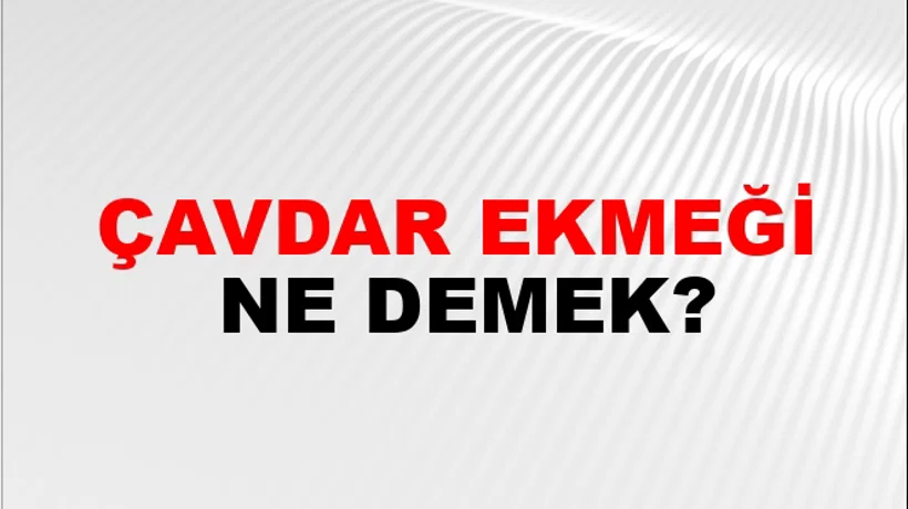 Çavdar Ekmeği Çavdar Ekmeği