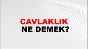 Cavlaklık