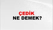 Çedik