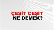 Çeşit Çeşit