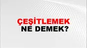 Çeşitlemek
