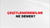 Çeşitlendirebilme
