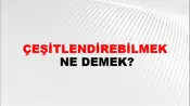 Çeşitlendirebilmek