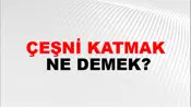 Çeşni Katmak