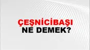 Çeşnicibaşı