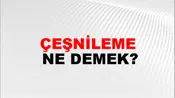 Çeşnileme