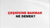 Çeşnisine Bakmak