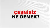 Çeşnisiz