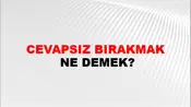 Cevapsız Bırakmak