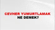 Cevher Yumurtlamak