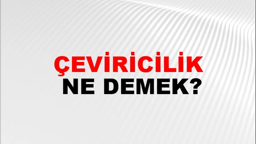 Çeviricilik Çeviricilik
