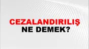 Cezalandırılış