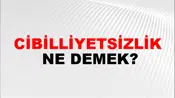 Cibilliyetsizlik