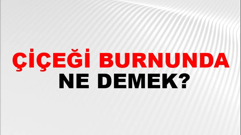 Çiçeği Burnunda Çiçeği Burnunda