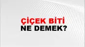 Çiçek Biti