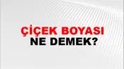 Çiçek Boyası