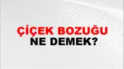 Çiçek Bozuğu
