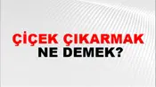 Çiçek Çıkarmak