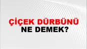 Çiçek Dürbünü