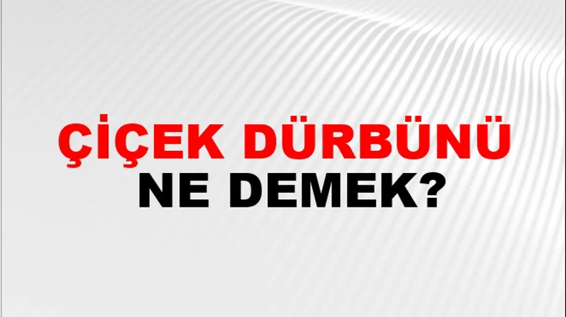 Çiçek Dürbünü Çiçek Dürbünü