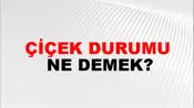 Çiçek Durumu