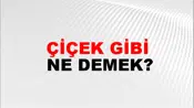 Çiçek Gibi