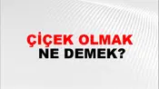 Çiçek Olmak