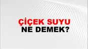 Çiçek Suyu