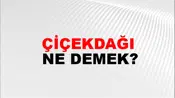 Çiçekdağı