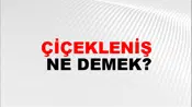 Çiçekleniş
