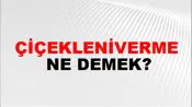 Çiçekleniverme