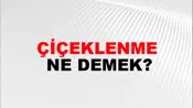 Çiçeklenme