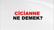 Cicianne